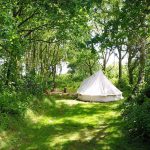 White tent in a secluded woodland pitch